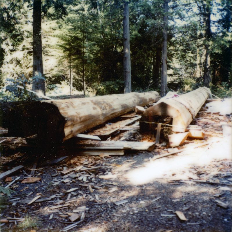 color photos of cedar logs prior to carving 