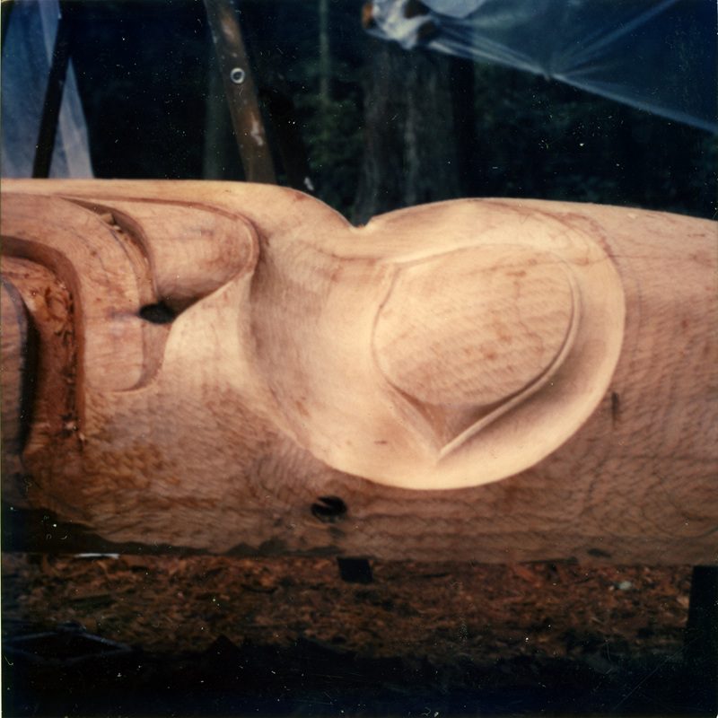 color photo of carving detail of a eagle eye on a totem pole