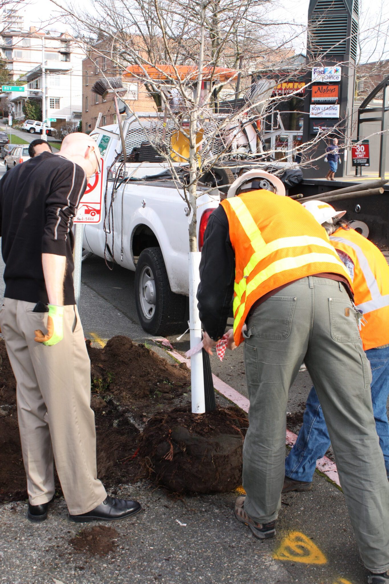 Color photo of Seattle Neighborhood Appreciation Day tree planting, February 10, 2010